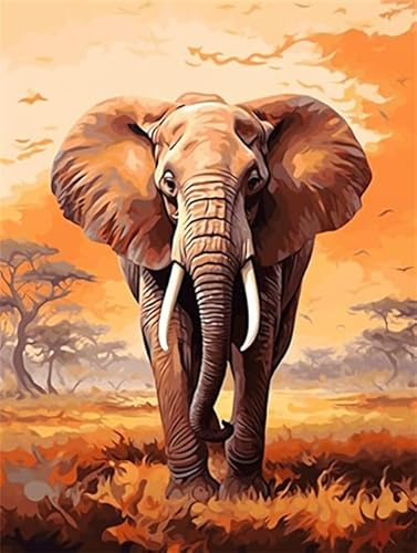 Lfynior Stickset Kreuzstich Elefant 14CT Stickerei-Set 30cmX40cm Komplette Vorgedruckter Stick-Starter-Sets Stoff DIY Handarbeiten