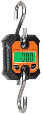 Electric Hoist Lift, Detachable Digital Industrial Scale Heavy Duty Hanging Hook Micro Crane Scale Lcd Backlight Battery Powered for Industrial Tools for Home Garage Warehouse(Maximum 100kg)