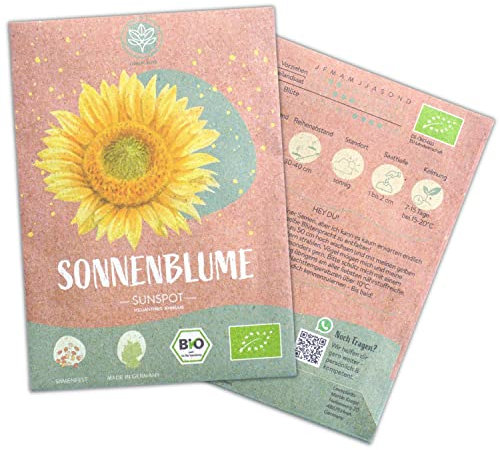 Bio Sunspot Sonnenblumen Samen, 20 Blumensamen mit hoher Keimquote, Sonnenblumensamen für deinen Garten, Balkon, Beet oder als Gastgeschenk. Samenfestes Blumen Saatgut.