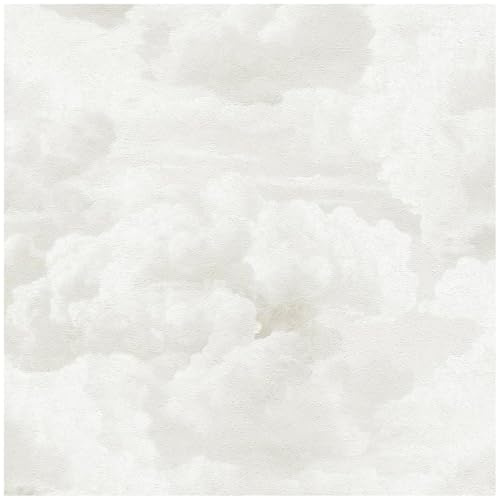 YöL Soft White Plaster Effect Wallpaper – Minimalist Textured Cloud Wash Design for Bright Modern Interiors – Elegant Neutral Wall Covering for Living Rooms, Bedrooms & Hallways