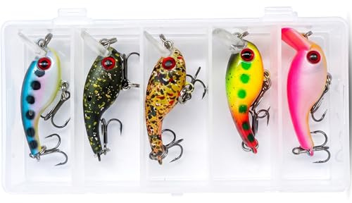 PineStream Forellen Wobbler Köder Set 5-TLG | 3,5cm Wobbler Mini Köder | Für Forelle und Barsch | Feenfischerei Set mit Köderbox