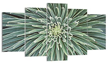Wandbilder Dekoration Wohnzimmer Agave Grün Pflanze Mehrteilige Bilder auf Leinwand 160x85cm Leinwandbild Schlafzimmer Set 5 teilige Wand Kunstdruck Art Groß XXL Wanddeko Bild Canvas EA160x85-4905