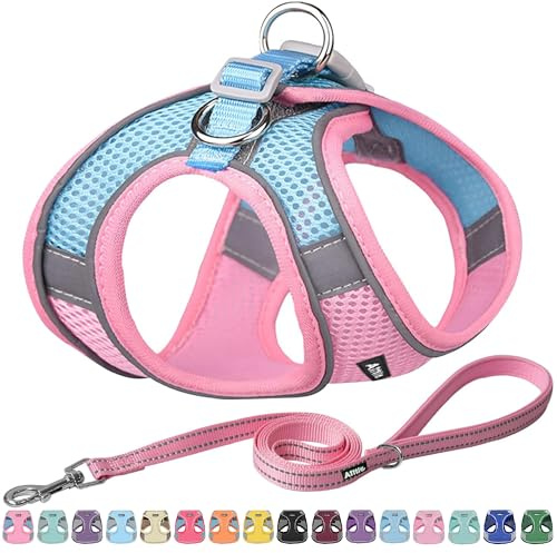 AIITLE Arnés para Perros antitirones, arnés Ajustable con Chaleco Acolchado, Correa para Perros con asa Acolchada Suave, fácil de Colocar en Perros pequeños y medianos, Color Rosa S