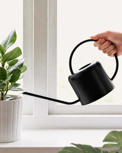 Bamworld Annaffiatoio in Acciaio Inox 1 Litro per Piante da Interno, Annaffiatoio Metallo con Beccuccio Lungo per Piante da Appartamento Bonsai Fiori Giardino (Nero)