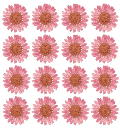 PATIKIL Flores Secas Prensadas Naturales Margarita Rosa Flores Cerezo 48Pcs | para Manualidades de Arte Decoración del Hogar Decoración de Uñas Cefluvio