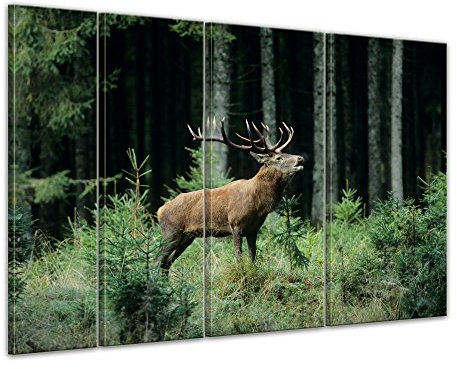 Bilderdepot24 Keilrahmenbild Hirsch - 180x120 cm quer mehrteilig Bilder als Leinwanddruck Fotoleinwand Tierbild Waldtier - Rotwild - röhrender Hirsch im Wald