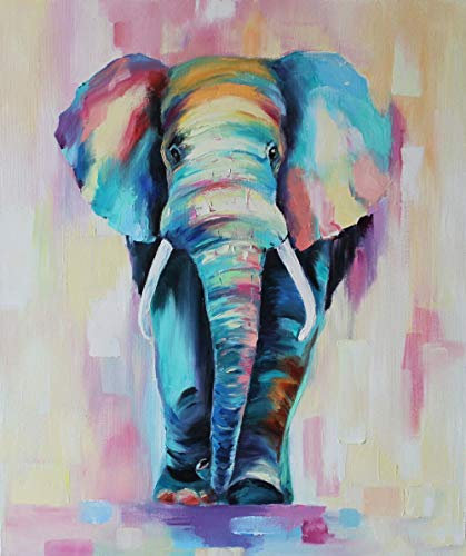 XCSQTYMY DIY Malen nach Zahlen Bunter Elefant für Erwachsene Kinder Anfänger Leinwand Ölgemälde Kit-Weihnachten Geburtstag Home Haus Deko