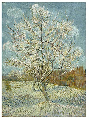 Social Crazy POSTER su carta fotografica premium 270 gr - VINCENT VAN GOGH - PESCO IN FIORE - Art Print Locandina HD 100% QUALITà ITALIA Idea Regalo Casa quadro home (A1)