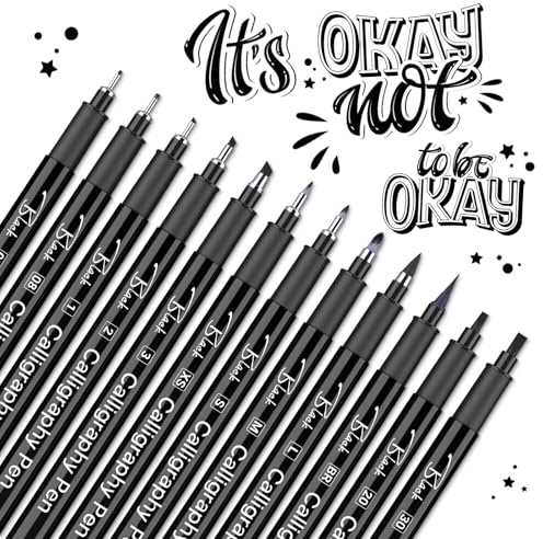 Calligraphy Pens, 12pcs Calligraphy Set for Beginners, Brush Pens Black Drawing Pen, 12 Sizes Calligraphy Writing Beginners Pen Sets, Quick-drying & Waterproof Fineliner Writing Pens, Sketching