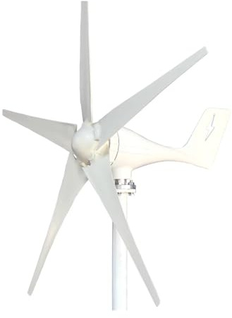 Kit de turbina aerogeneradora Horizontal de 3000W con controlador 12V/24V/48V sistema eólico Solar híbrido de turbina de bajo ruido blanco Para el hogar, la granja, el alumbrado público y l(Model2,24V
