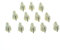 KAISH 12pcs 1/4 Vintage Raised Mini Chicken Head Knobs Small Size Guitar Bass Potentiometer Knobs Amplifier Knob Effect Pedal Chickenhead Knobs with Set Screw Aged White