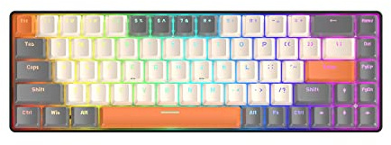 68 Clés Clavier de Jeu mécanique Filaire avec rétroéclairage RGB, Mini Clavier de Jeu mécanique Portable 60% pour Ordinateur Portable Gamer (Édition crépusculaire Interrupteur Marron)