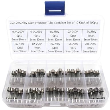 AIRUIXI Glas sicherungen 100 Teile/Satz 5x20mm Flinke Glasrohrsicherung 0,2A0,5A 1A 2A 3A 5A 8A 10A 15A 20A Verschiedene BoxedKits Flinke Glassicherungen(100pcs Boxed)