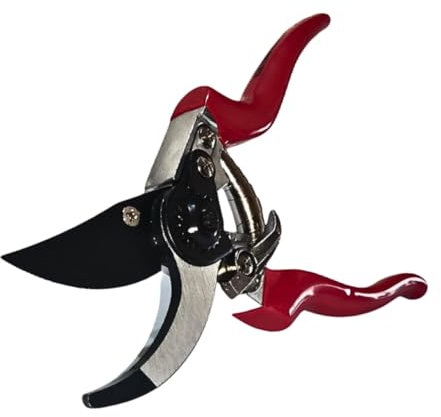 Forbici Cesoie per Potatura Giardino Professionale, Utensile Ideale per Potatura, Giardinaggio e Fai da Te