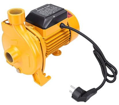 Fockety Bomba centrífuga autocebante 750W, 200 L/min, 30m, de hierro fundido y acero inoxidable, con salida 2,5cm y doble rodamiento bolas para calderas domésticas riego agrícola (Enchufe europeo