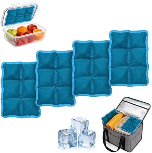 KATELUO 4 Piezas Acumuladores de Frio para Nevera, Placas Hielo Nevera Portatil, Paquetes de Hielo Reutilizables, Bolsas de Hielo para Nevera Pequeños, Placas de Hielo para Viajes, Escuela