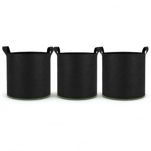 Conipa Pflanzsack aus Vliesstoff, Stofftopf 20L für Balkon, Terrasse & Garten, atmungsaktiv & wasserabführend, mit verstärkten Griffen, UV-beständig, wiederverwendbar, ca. Ø 30 cm x 25–26 cm, Schwarz