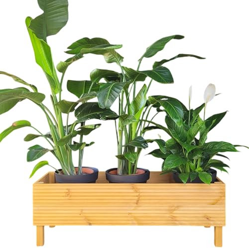 weeco Grande couverture de protection pour plantes en bois, jardinière décorative pour jardin et intérieur, parterre de fleurs surélevé, chêne clair, 115 x 39 x 41 cm