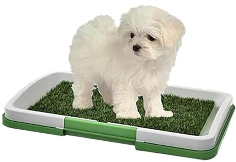 Generisch Hundegrasauflage mit Tablett,Gras-Trainingsunterlage, Rasen-Töpfchenunterlage, Haustiermatte - Hundetoilette aus Rasen für den Innenbereich, Grasunterlage für Hunde