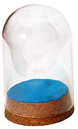 Tubayia 4 Stück Mini Glas Kuppelabdeckung Glasglocke mit Holzkorken für Haus Dekoration Geschenk