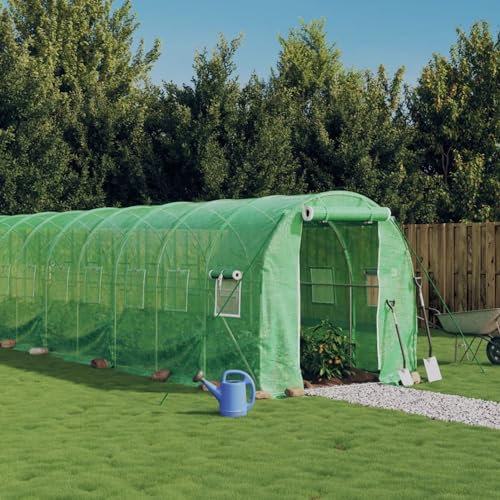 LAPOOH Serre avec Cadre en Acier Vert 44 m² 22x2x2 m,Carport Abri Voiture,Serre Tunnel