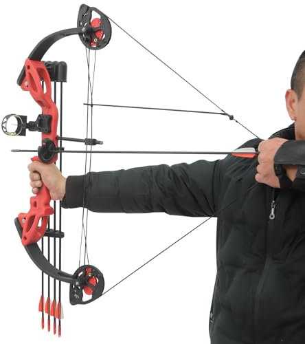 Compoundbogen-Set mit 12 Pfeilen, Einstellbare Compoundbogen Spannung 7-13 kg, Compoundbogen mit Hochpräzise Single-Pin Visier und Anti-Rückschlag Armschutz, für Outdoor-Training