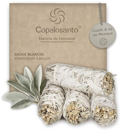 Lot 4 Sauge Blanche Purification A Bruler Baton Encens Naturel Maison Rituel Relaxant Protection Energetique Nettoyage Spirituel Purificateur Atmosphere Esoterisme Meditation Bienetre Cadeau Positif