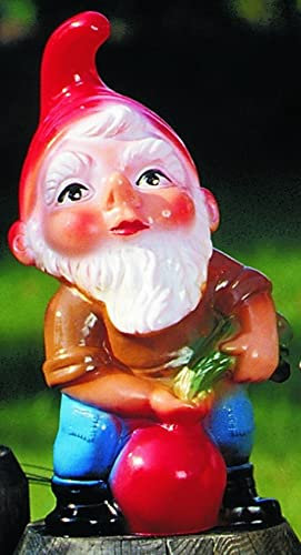 OMÜ Otto Müller Gartenzwerg mit Rübe Figur Zwerg H 22 cm Gartenfigur aus Kunststoff