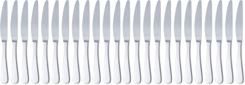Amazon Basics Coltelli in acciaio inox con bordo arrotondato, confezione da 24, Argento