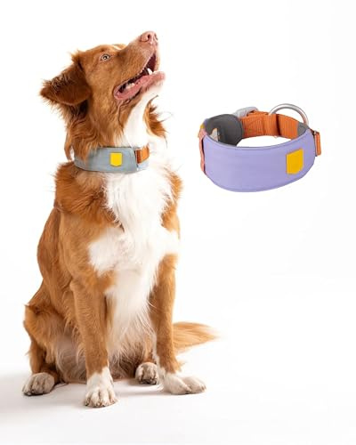 Woolly Wolf Alpha 360 Halsband für mittelgroße Hunde Gr. M Lavendel Mix - Nachhaltig & bequem, Reflektierend für erhöhte Sicherheit bei schlechter Sicht