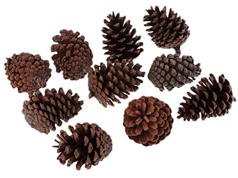 FashionCha 10 Stück Tannenzapfen Als Naturmaterial für Herbstdekoration Winterdeko Und Tischschmuck Echte Kiefernzapfen für Foto Requisiten Und Geschenkverzieru, A 6-8CM