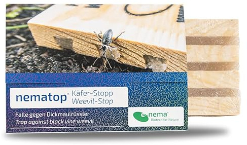Dickmaulrüssler bekämpfen | Nematoden-Falle gegen Käfer | nematop® Käfer-Stopp