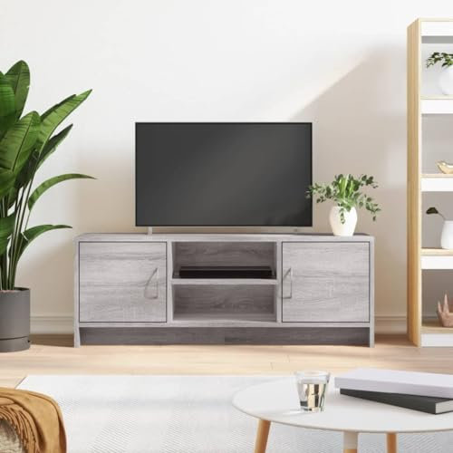TJROO TV-Schrank Sonoma-Grau 102 x 30 x 37,5 cm aus mehrschichtigem Holz mit Türen und Ablage – Konsole für Fernsehen und Bass