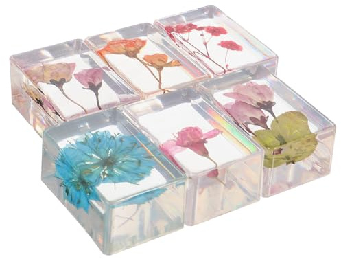 Mobestech Pisapapeles de Resina 6 Piezas Flores Secas, Espécimen Floral Transparente para Colección Educativa, Decoración de Escritorio y Muestras Botánicas Aleatorias