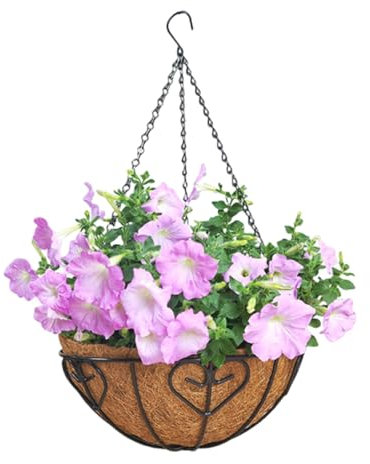 Outdoor Pflanzkorb mit Kokosauskleidung - Draht Metall Rund Pflanze Garten Korb - Töpfe Aufhänger Herzmuster Blumentopf mit Kette Garten Dekorationen für Draußen