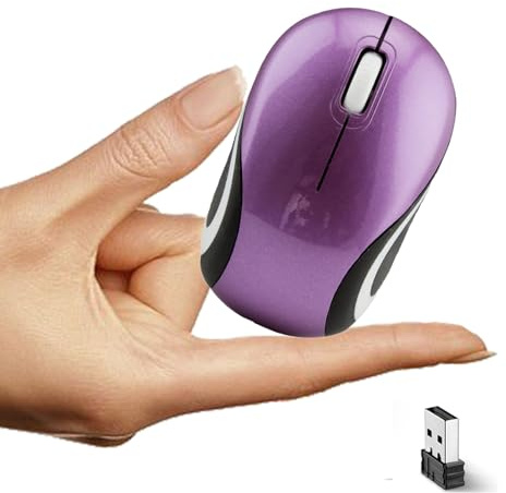 LIKE SHOW Mini Souris Sans Fil Portable pour Voyages D'affaires Petites Souris Silencieuses Ergonomiques 2.4G USB 1600DPI pour Enfants Petites Mains pour Windows/iOS/Android Ordinateur Portable/PC,Mac