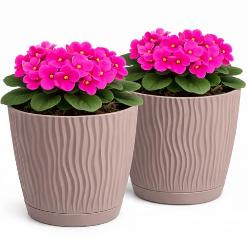 PECZEKO Matte Blumentöpfe - Deko Pflanztopf für Blumen & Kräuter - Langlebige & leichte runde Kunststoff-Pflanzentöpfe für Wohn- Esszimmer, Küche, Terrasse, Balkon - 2er-Set - (Braun, ø 15 cm)