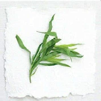 100 Tarragon Common Kitchen Artemisia Dracunculus Herb Seeds *Flat Shippin:Seeds