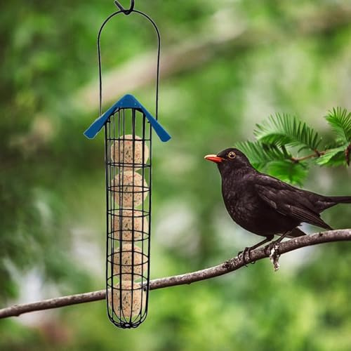 Aoaoy Bird Food Dispenser Large Hanging Bird Feeder Easy Fill Wild Feeder with Heavy Duty Iron Mesh Plastic and Metal for Tits Sparrows (Black)