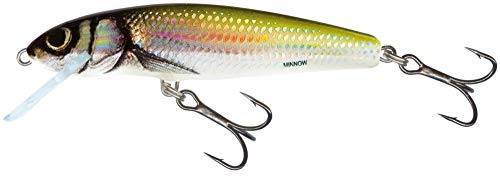 Salmo Minnow Wobbler, Farben:Holo Bleak, Länge/Gewicht/Laufverhalten/Tauchtiefe:7cm / 8g / sinkend / 1.5-2.0m
