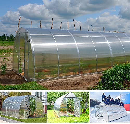 Gewächshaus Polycarbonat Tunnel 3 x 6 m Garten Pflanzen Gewächshäuser Box 6 x 3 m Pavillon Rohre Polycarbonat 4 mm schwer 800 g/m²