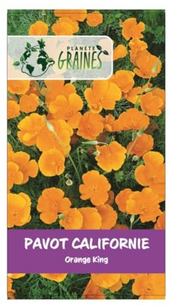 300 Graines Coquelicot de Californie Orange geante - Eschscholzia orange king