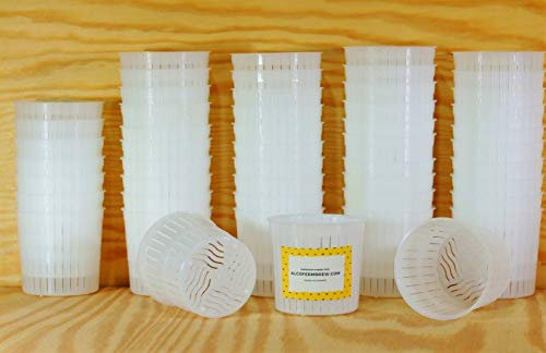 50 x Moldes para Queso 100 g – 5x5 cm – Mini Ricotta, Requesón, Para Producción Casera y Artesanal