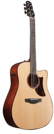 Ibanez AAD300CE-LGS - Natur