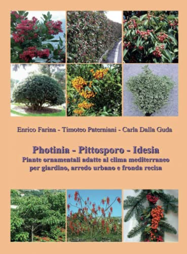 Photinia - Pittosporo - Idesia: Piante ornamentali adatte al clima mediterraneo per giardino, arredo urbano e fronda recisa