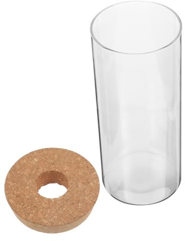 PRETYZOOM Recipientes De Vidrio Transparente Botella Ecológica para Plantas Decoración De Hogar