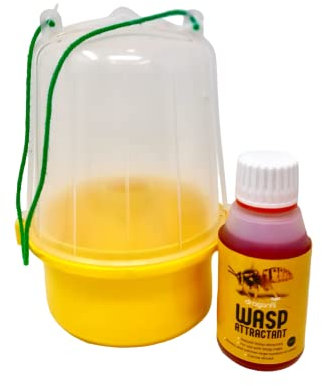 Dragonfli Wasp Trap With Liquid Bait Attractant - Catches & Kills Wasps (Standard)