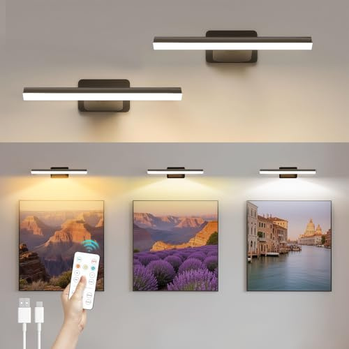 AMFUN 2 Stück Bildbeleuchtung Kabellos, Wandleuchte Innen mit Timer Fernbedienung, LED Wandlampe mit 3 Farbtemperaturen, Wandleuchte für Malen Foto Portrait, Schwarz