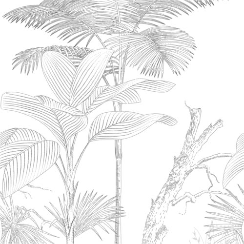 TADESSI Papier peint photo Motif jungle M1 – No.11628 – Papier peint photo noir et blanc – Palmiers pour salon, chambre à coucher, cuisine