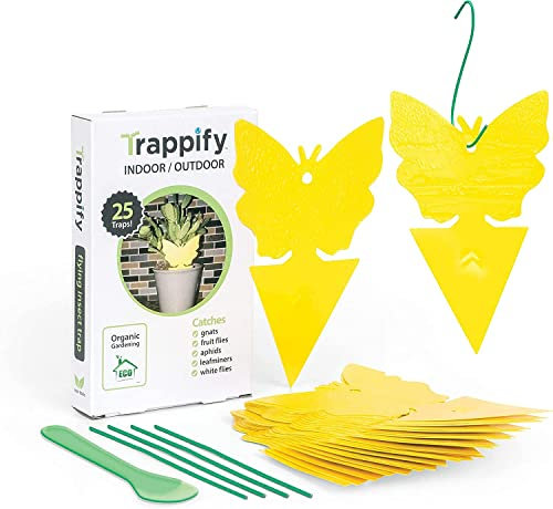 Trappify Sticky Gnat Traps for House Indoor - Yellow Fruit Fly Traps for Indoors/Outdoor Plant - Insect Catcher White Flies, Mosquitos, Fungus Gnat Trap, Flying Insects - Disposable Glue Trapper (25)